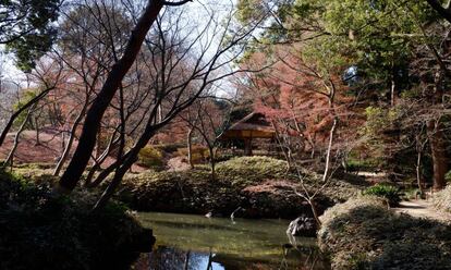 Jardín Rikugien, en Tokio.