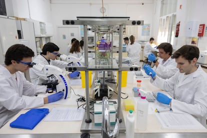 Alumnos de la Universidad de Sevilla en el laboratorio durante una práctica de biomedicina, este lunes.