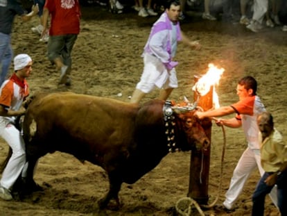 Celebración de bou embolat en la Plana Baixa de Castellón.