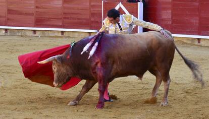 Enrique Ponce en Palencia este mi&eacute;rcoles.