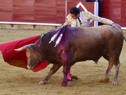 Enrique Ponce en Palencia este mi&eacute;rcoles.