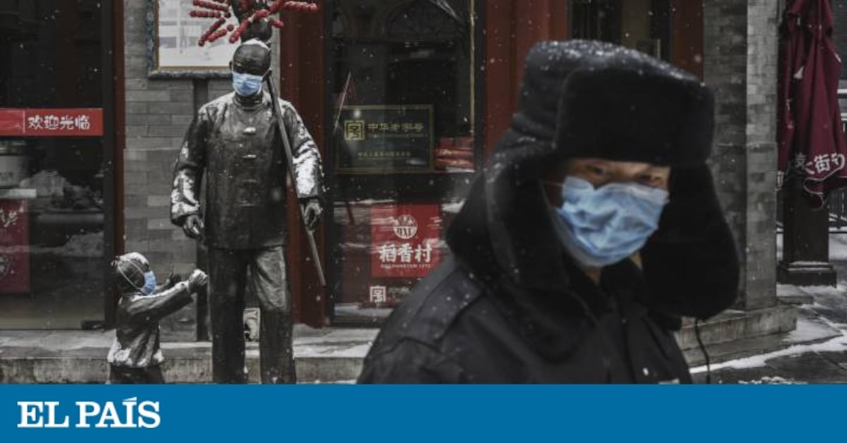 elpais.com