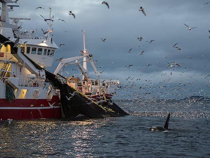 Vivir de espaldas al océano