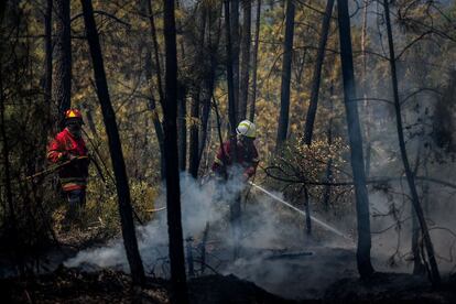 Un grupo de bomberos trabajando en la extinción del incendio forestal en la zona de Sarnadas, Portugal. 