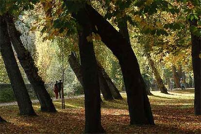 El paseo de la Alameda, junto al río Eresma, conduce hasta el monasterio jerónimo de Nuestra Señora del Parral.