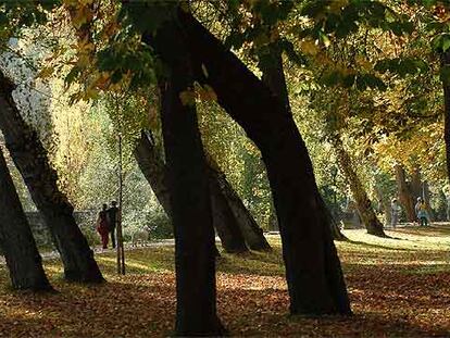 El paseo de la Alameda, junto al río Eresma, conduce hasta el monasterio jerónimo de Nuestra Señora del Parral.