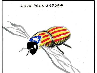 El Roto