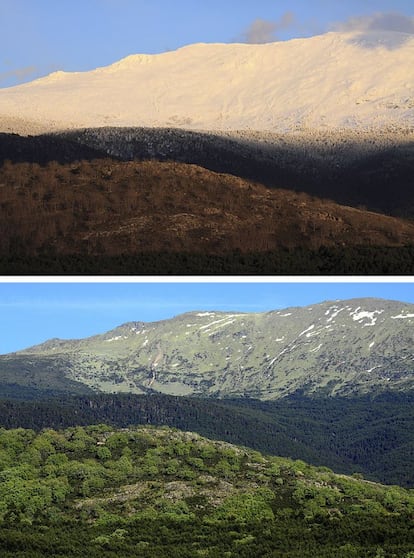 En primer término el Robledal, en un nivel superior, el pinar, y por encima las cumbres despojadas de masa arbórea en su vertiente segoviana. Arriba, imagen tomada en Marzo de 2014, abajo, la misma toma en mayo de 2014.