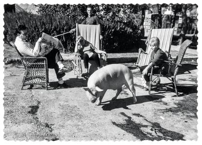 Una familia pasa una jornada en el jardín de su casa en compañía de un cerdo. Una imagen anónima del libro de Jordi Puig.