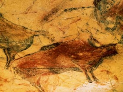 Bisontes en la sala de polícromos de la cueva de Altamira, en Cantabria.