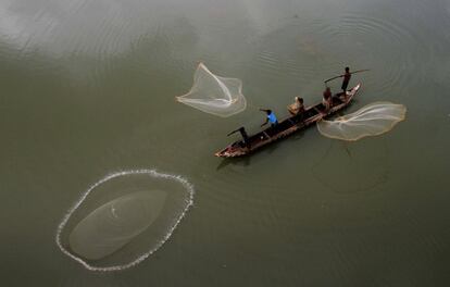 Unos pescadores lanzan sus redes en el río Mahanadi a las afueras de Cuttack, India.