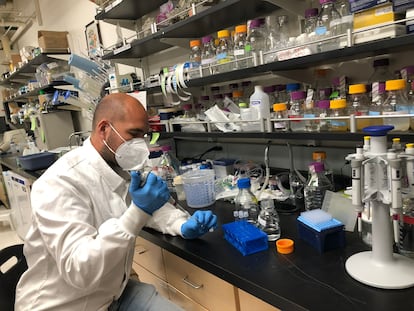 El virólogo Francisco Martínez, en el Instituto Tecnológico de California la pasada semana.