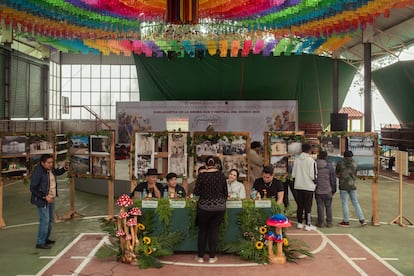 El Festival del Hongo ofrece talleres, pláticas, exposiciones, concursos y demás actividades orientadas a la micología.