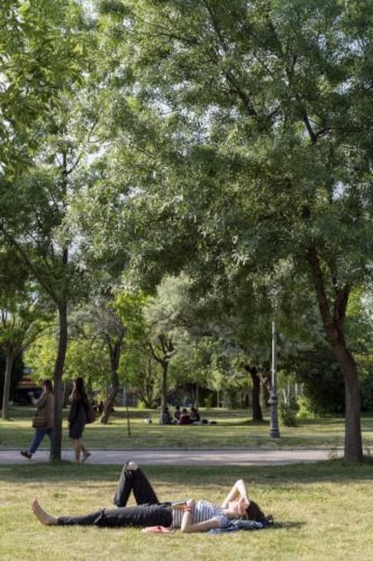 El campus de la UAM ocupa unas 250 hectáreas, de las cuales 60 son de bosque y campo. La universidad se encuentra al noroeste de Madrid.