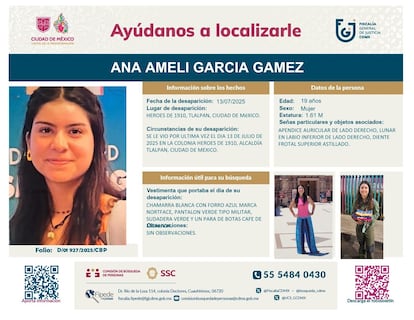 Ficha de búsqueda de Ana Ameli.