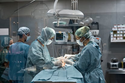 El objetivo es que los futuros médicos aprendan a manejar herramientas virtuales para practicar técnicas clínicas y quirúrgicas.