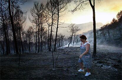 Una vecina de la urbanización de Comabella contemplaba ayer el bosque quemado.