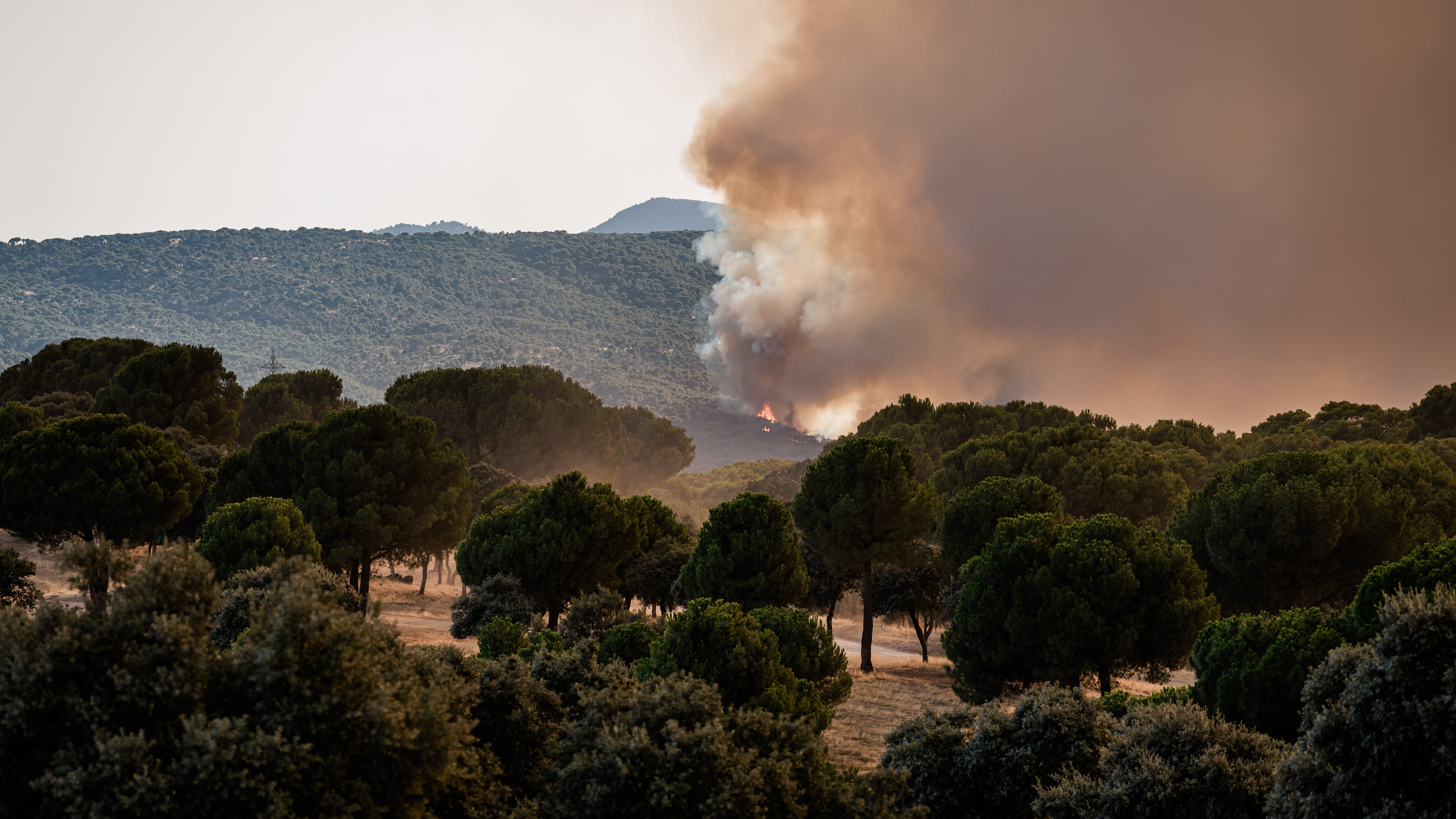 Madrid pide a Moncloa que asuma el mando ante el avance de los incendios