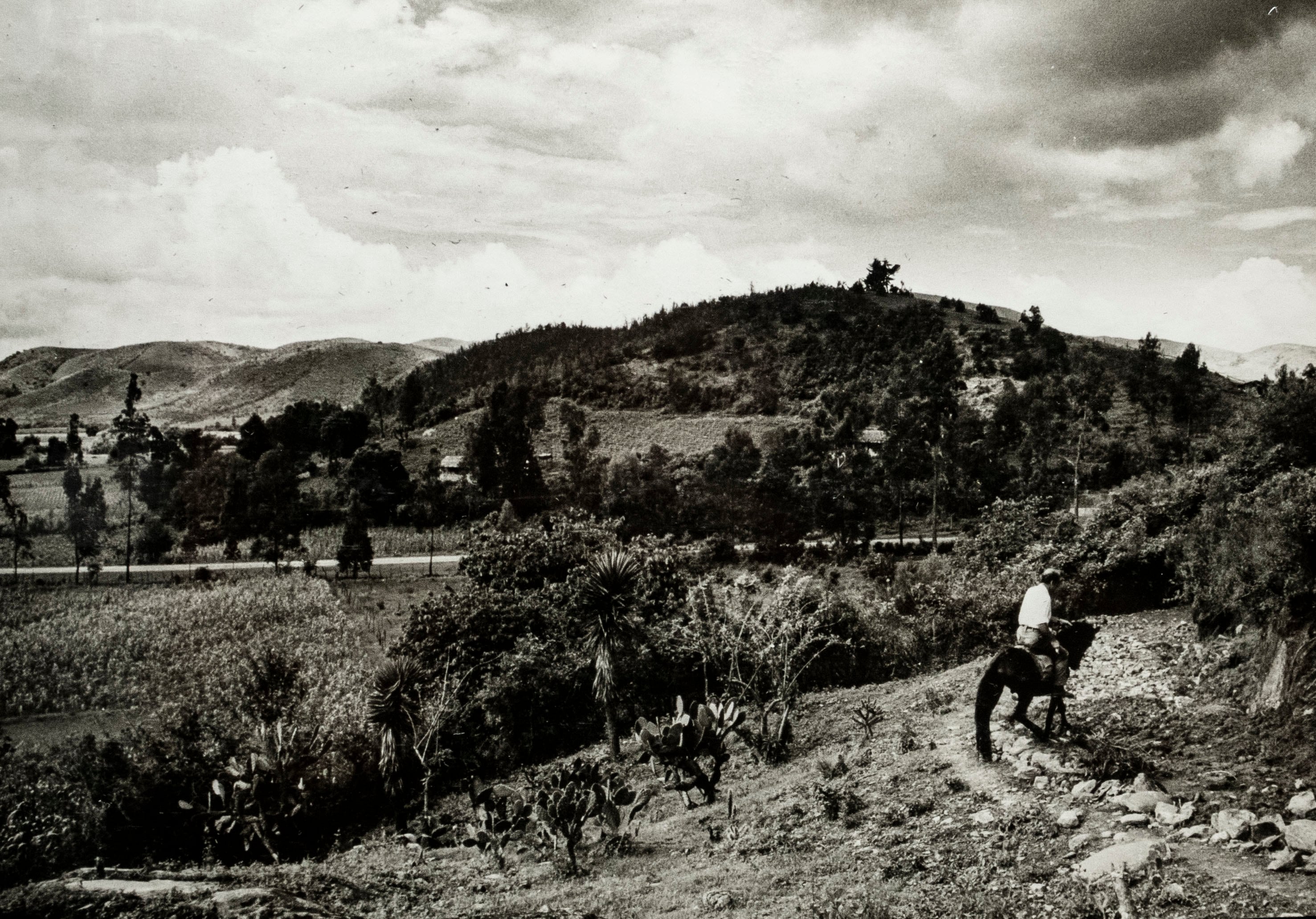 Un jinete, posiblemente el médico Germán Somolinos, en su rancho de Zitácuaro (México), hacia 1950.