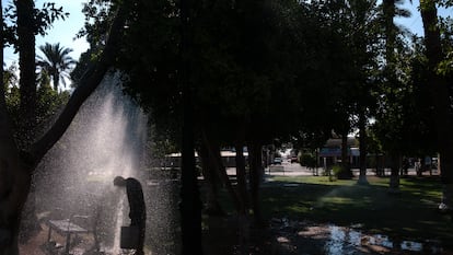 Un hombre se refresca con el agua de riego del Parque Benito Juárez en San Luis Río Colorado, Sonora, el 13 de julio del 2023. Ese año Sonora rompió marcas en sus temperaturas históricas.