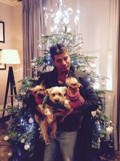 Simon Cowell ha publicado esta imagen junto a su árbol de Navidad y sus tres perritos en Twitter. Aunque el productor musical sea duro con sus críticas, en esta ocasión ha permitido que el espíritu navideño le invada.