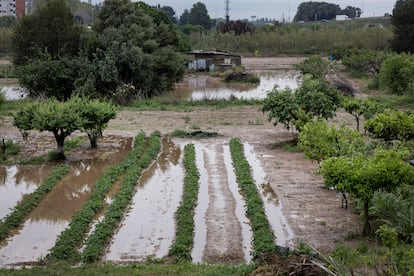 En la imagen unas parcelas inundadas del Parque Agrario del Llobregat a la altura de Sant Joan Despi (Barcelona). 