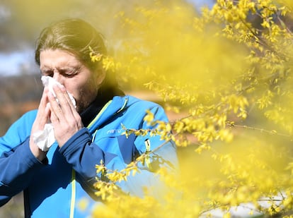 Pollen allergy