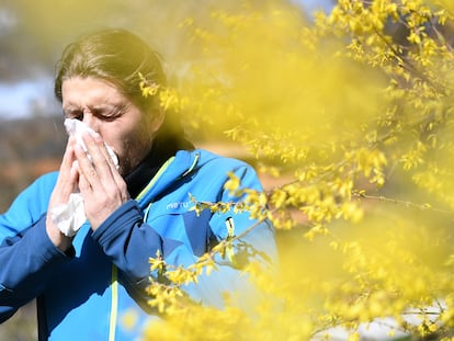 La alergia no se produce solo en primavera, pero en esta época es cuando hay mayores concentraciones de polen.
