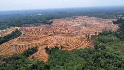 Deforestación en un bosque en la región indonesia de Kalimantan, el pasado mes de septiembre.