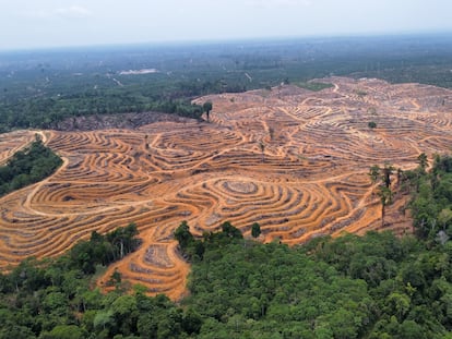 Deforestación en un bosque en la región indonesia de Kalimantan, el pasado mes de septiembre.