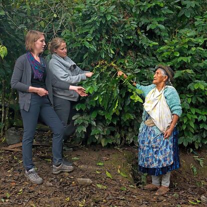 Una experta en café acompaña a Seidler (con coleta) a visitar la plantación de Alexandra (a la derecha) en Coraico.