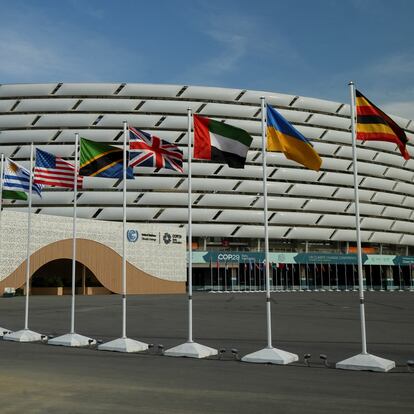 State flags are seen near the venue of the United Nations climate change conference COP29 in Baku, Azerbaijan November 16, 2024. REUTERS/Janis Laizans