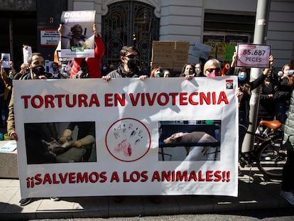 Concentración en contra de las prácticas de los laboratorios de Vivotecnia, ante la sede de la Consejería de Medio Ambiente de Madrid, el pasado abril.