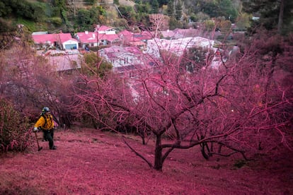 A firefighter works near the Palisades Fire on January 12.