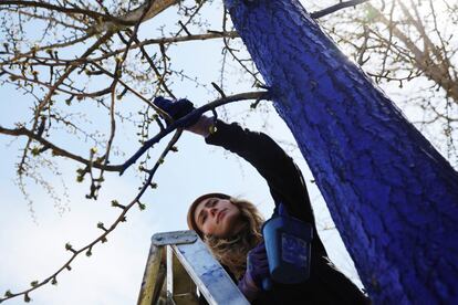 Una activista pinta un árbol de azul en la ciudad de Sálem, al norte de Massachusetts, como parte de una instalación que tiene como objetivo crear conciencia sobre la deforestación global y el cambio climático, este viernes.