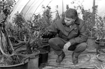 El expresidente, en 1996, con la colección de bonsáis que tenía en La Moncloa.