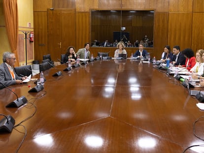 El presidente del Consejo de Participación del Espacio Natural de Doñana, Miguel Delibes, durante la comparecencia al Parlamento andaluz.