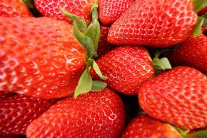 El único problema de las fresas es que se ponen pochas muy rápido