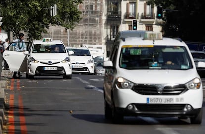 Varios taxis circulan por una calle en Madrid.