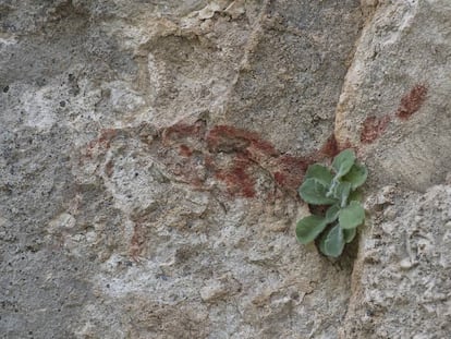 Uno de los dibujos supuestamente rupestres de la sierra de Algodonales, en Cádiz.