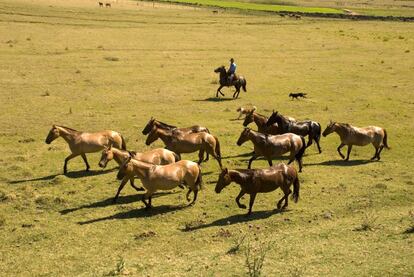 Salto, región que acoge la segunda ciudad más grande del país y frontera más septentrional con Argentina, es un lugar tranquilo, territorio de gauchos y visitada por viajeros en busca de sus fuentes termales.