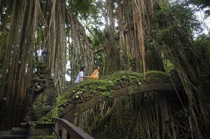 Dos turistas ascienden por un puente a través de la selva.