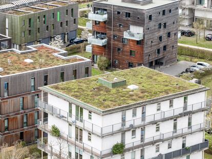 21 April 2022, Hamburg: Green roofs can be seen on new buildings in Hamburg's Wilhelmsburg district. Biodiversity thrives on them and they help to dampen urban warming caused by climate change. (to dpa: "The big crawl - green roofs with a surprising amount of biodiversity") Photo: Markus Scholz/dpa (Photo by Markus Scholz/picture alliance via Getty Images)