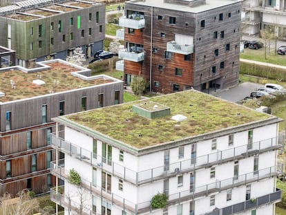 21 April 2022, Hamburg: Green roofs can be seen on new buildings in Hamburg's Wilhelmsburg district. Biodiversity thrives on them and they help to dampen urban warming caused by climate change. (to dpa: "The big crawl - green roofs with a surprising amount of biodiversity") Photo: Markus Scholz/dpa (Photo by Markus Scholz/picture alliance via Getty Images)