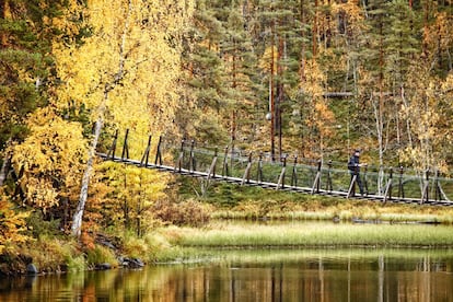 Una de las mejores formas de abandonar la civilización y entregarse a la naturaleza salvaje. La ruta Karhunkierros, de 3 o 4 días de duración y exigencia moderada, se adentra en la taiga (bosque boreal de picea, pino, abedul y alerce) del parque nacional de Oulanka, al sur del círculo polar. En este rincón de la Laponia finlandesa, junto a la frontera con Rusia, solo el impetuoso río Oulankajoki, los rápidos del Kiutakongas y la cascada Jyrava rompen el silencio. Al caminar por las gargantas, bosques primarios y riberas de lago del parque hay que ir alerta por si se vislumbran lobos, renos y osos pardos. Es muy recomendable recorrerla en otoño para disfrutar del maravilloso caleidoscopio de colores. Inicio: Salla. Final: Kuusamo. Distancia: 82 kilómetros. Más información: <a href="https://www.nationalparks.fi/karhunkierros" target="_blank">nationalparks.fi</a>