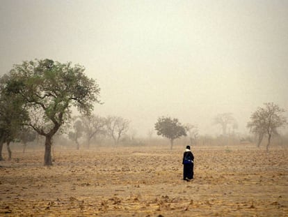 Un hombre camina por los campos en Malí.