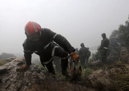 Los servicios de Protección Civil argelinos confirmaron, tras finalizar las labores de rescate, que han sido encontrados 76 cadáveres y un único superviviente entre los restos del avión siniestrado ayer en el este del país.