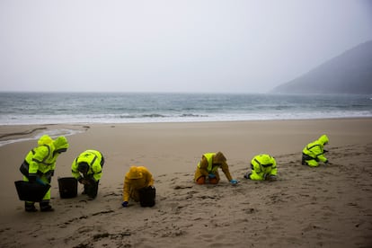Trabajadores contratados por la aseguradora del barco trabajan en la limpieza de los arenales de Muros.