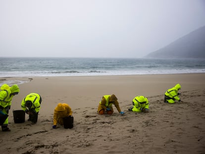 Trabajadores contratados por la aseguradora del barco trabajan en la limpieza de los arenales de Muros.