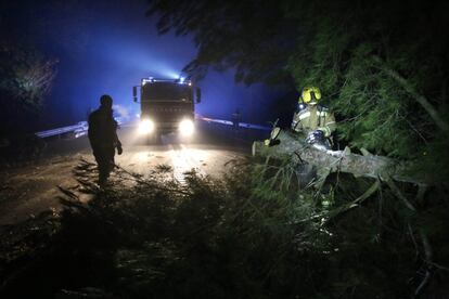 Bombers treballen en la retirada d'un arbre a la C-58 de Vacarisses.